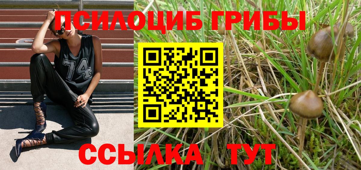 Родники  Галлюциногенные грибы Cubensis  Вход с VPN 