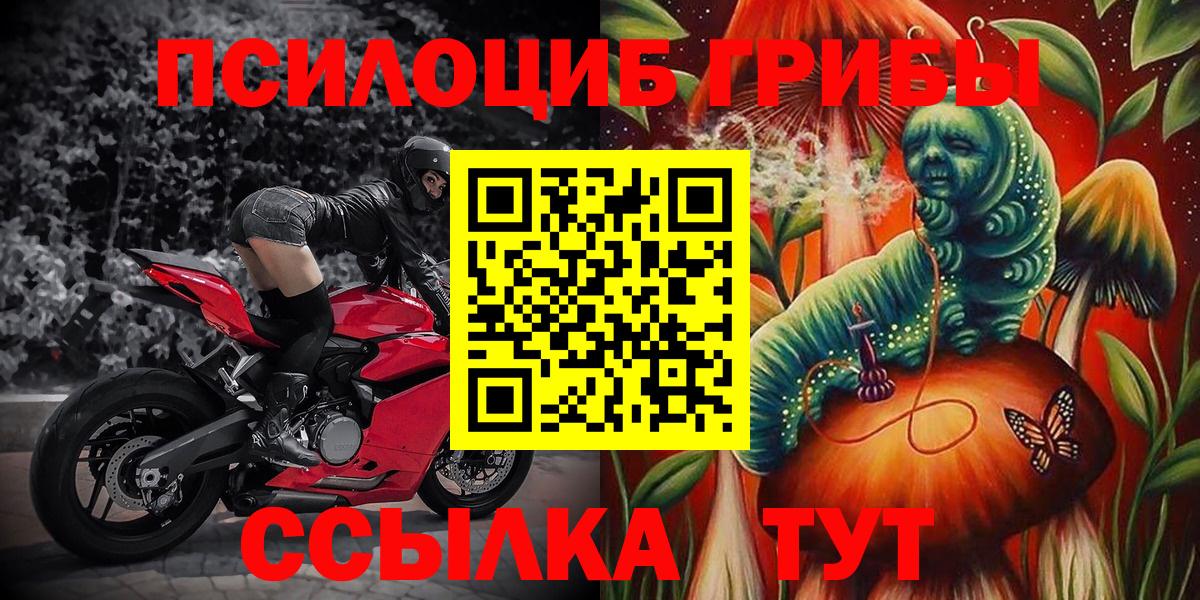 Псилоцибиновые грибы Cubensis Родники